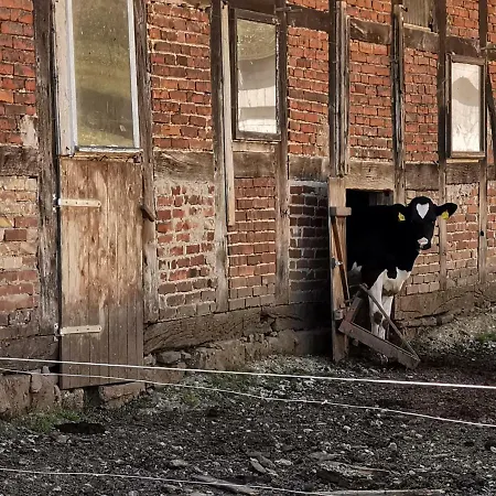 Alojamento de Turismo Rural Ehlers Hulsede