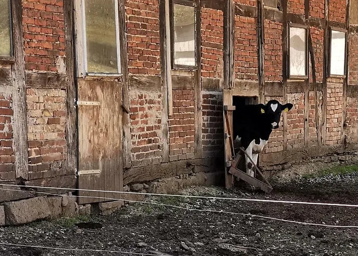 Κατάλυμα σε φάρμα Ehlers Hulsede