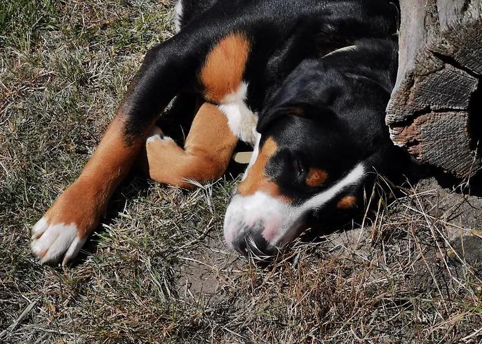 Ehlers Κατάλυμα σε φάρμα *